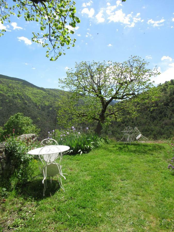 La Ferme De La Condamine Bed and Breakfast Saint-André-de-Rosans Eksteriør billede