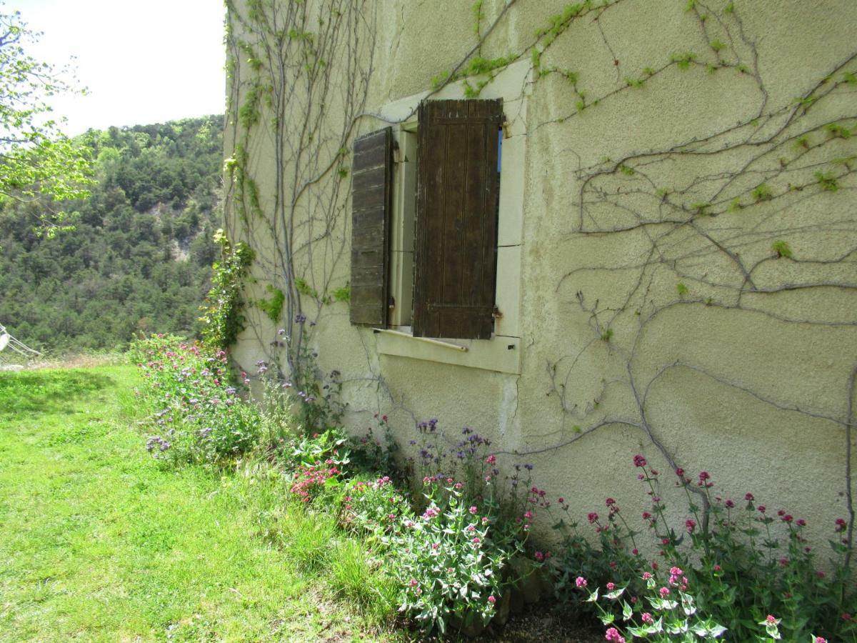 La Ferme De La Condamine Bed and Breakfast Saint-André-de-Rosans Eksteriør billede